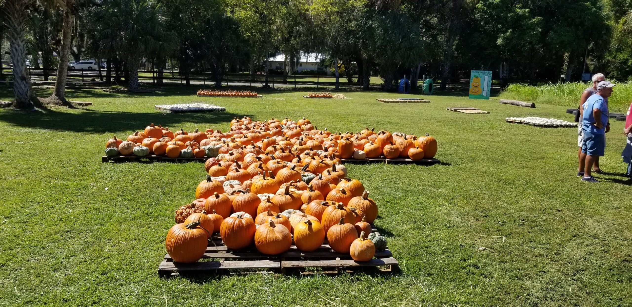 Pumpkin Patch First Baptist Church of LaBelle